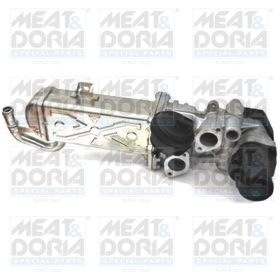 EGR Valve